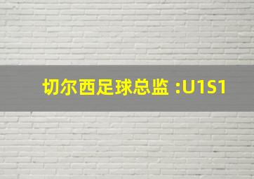 切尔西足球总监 :U1S1